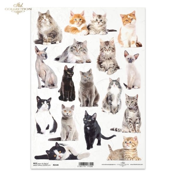 ITD COLLECTION ITD COLLECTION R2146 A4 RICE PAPER