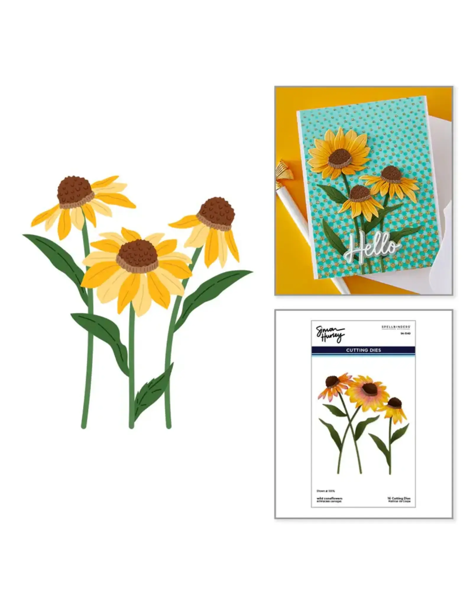SPELLBINDERS SPELLBINDERS SIMON HURLEY WILD CONEFLOWERS ETCHED DIE SET