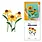 SPELLBINDERS SPELLBINDERS SIMON HURLEY WILD CONEFLOWERS ETCHED DIE SET