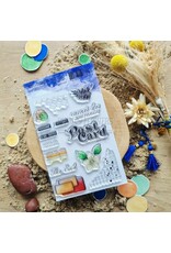 CHOU & FLOWERS CHOU & FLOWERS COLLECTION LE CHANT DES DUNES TEXTURES POSTCARD A6 CLEAR STAMP SET