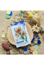 CHOU & FLOWERS CHOU & FLOWERS COLLECTION LE CHANT DES DUNES FLEUR DE SAFRAN A7 CLEAR STAMP SET