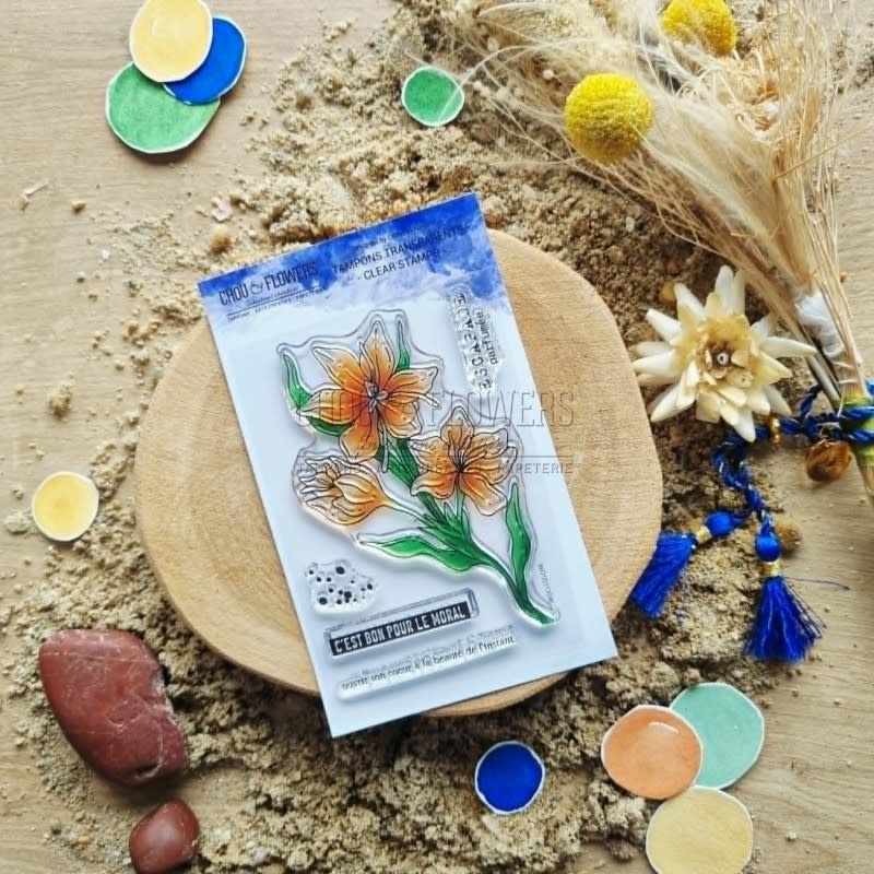 CHOU & FLOWERS CHOU & FLOWERS COLLECTION LE CHANT DES DUNES FLEUR DE SAFRAN A7 CLEAR STAMP SET