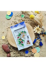 CHOU & FLOWERS CHOU & FLOWERS COLLECTION LE CHANT DES DUNES L'ARGANIER A7 CLEAR STAMP SET