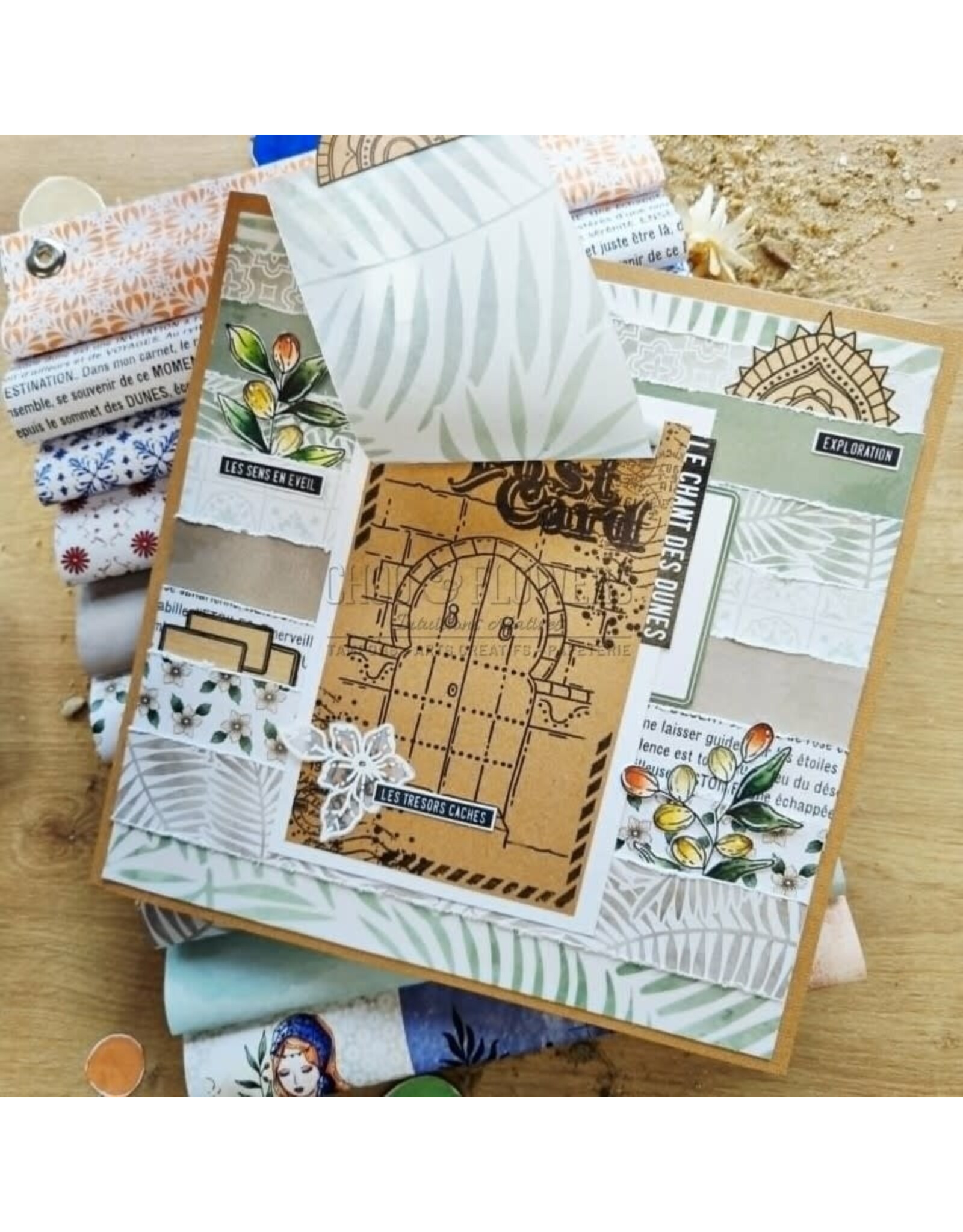 CHOU & FLOWERS CHOU & FLOWERS COLLECTION LE CHANT DES DUNES L'ARGANIER A7 CLEAR STAMP SET