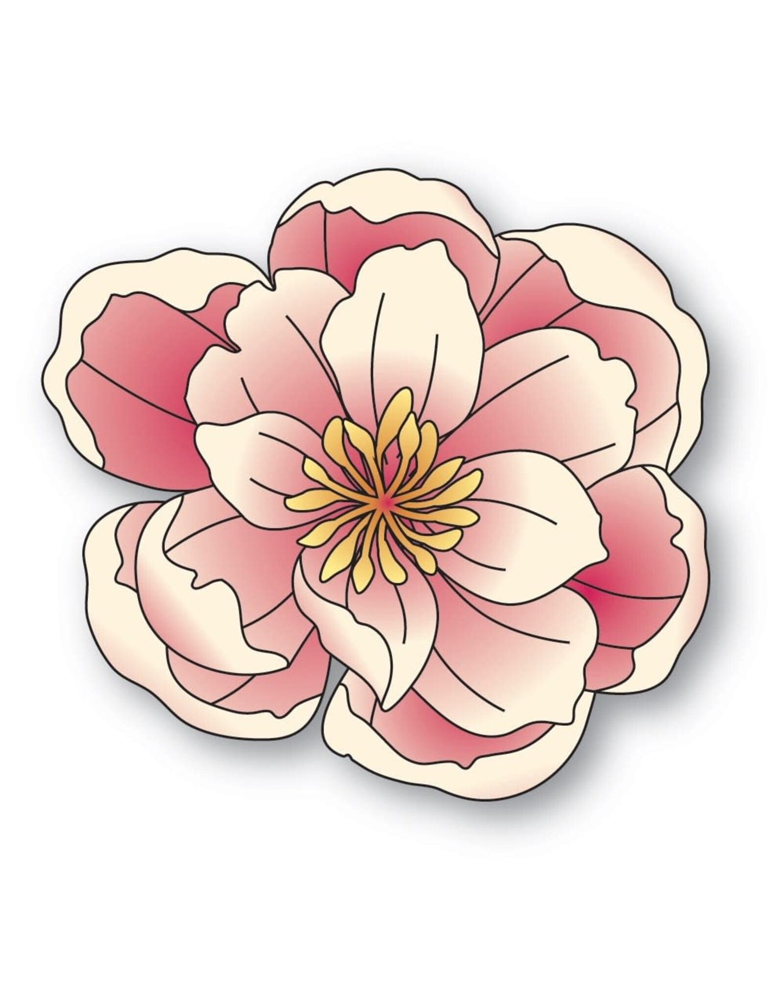 MEMORY BOX MEMORY BOX DELIGHTFUL PEONY BLOSSOM DIE SET