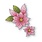 MEMORY BOX BLOOMING POINSETTIAS DIE SET