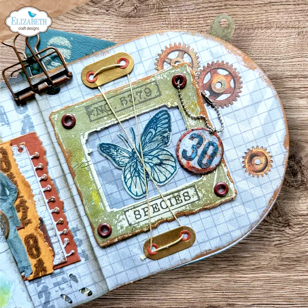 ELIZABETH CRAFT DESIGNS ELIZABETH CRAFT DESIGNS BEAUTIFULLY WORN WHERE WINGS WANDER CLEAR STAMP AND DIE SET