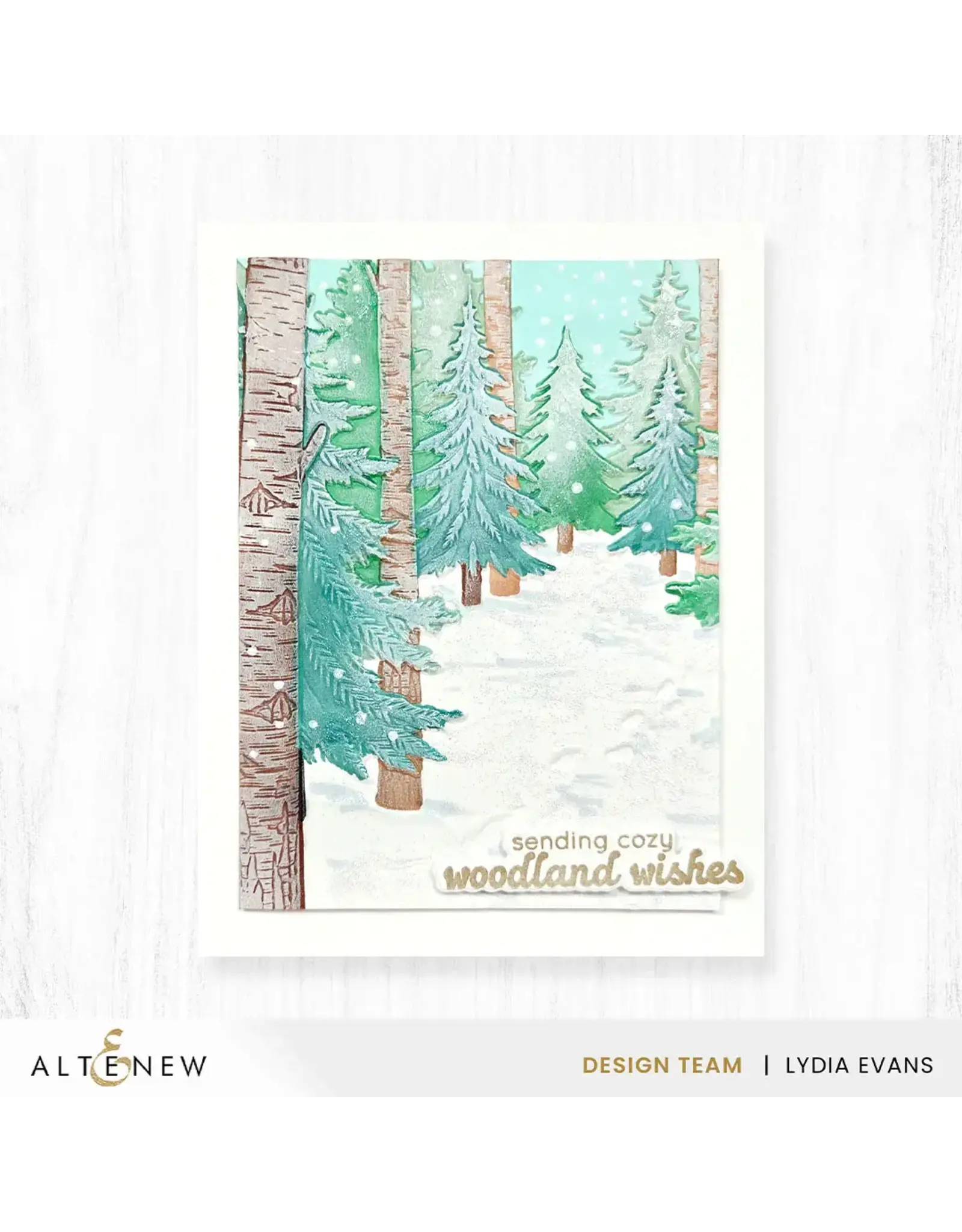 ALTENEW ALTENEW SNOWY FOOTPATH 3D EMBOSSING FOLDER