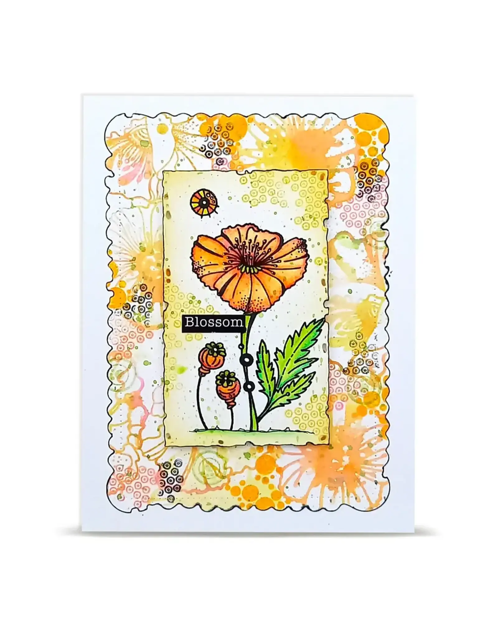 AALL & CREATE AALL & CREATE AZ LINE #1479 LOVELY COQUELICOTS A6 CLEAR STAMP SET