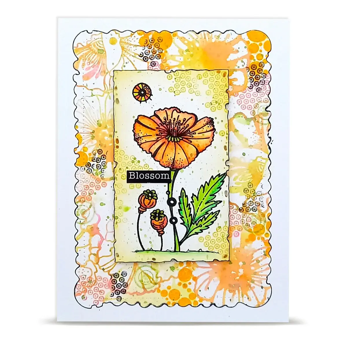 AALL & CREATE AALL & CREATE AZ LINE #1479 LOVELY COQUELICOTS A6 CLEAR STAMP SET