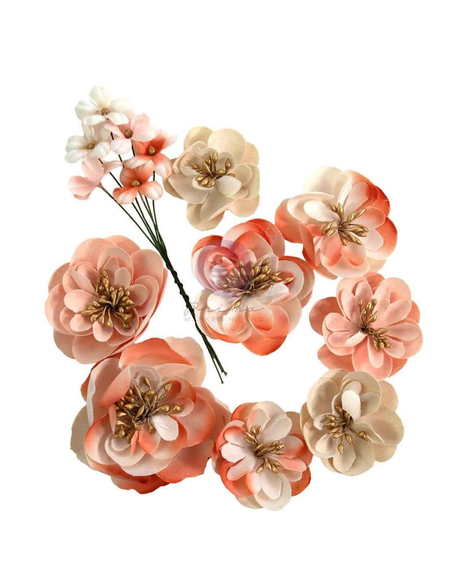 PRIMA PRIMA HOMEGROWN APPLE BLOSSOM GARDEN PAPER FLOWERS 9/PK