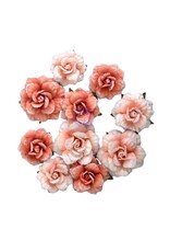 PRIMA PRIMA HOMEGROWN BLUSH HARVEST PAPER FLOWERS 10/PK