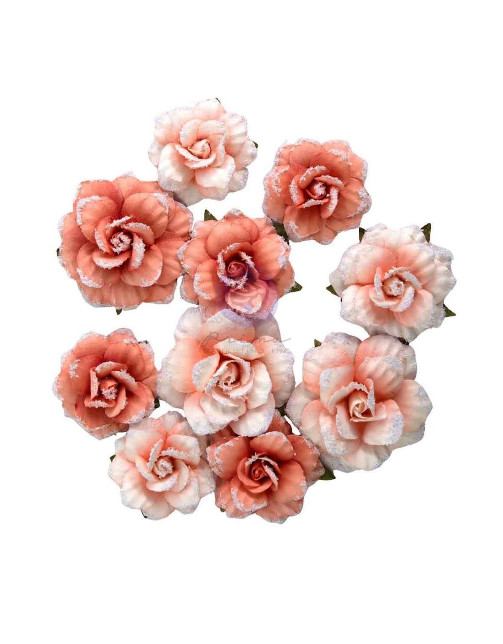 PRIMA PRIMA HOMEGROWN BLUSH HARVEST PAPER FLOWERS 10/PK