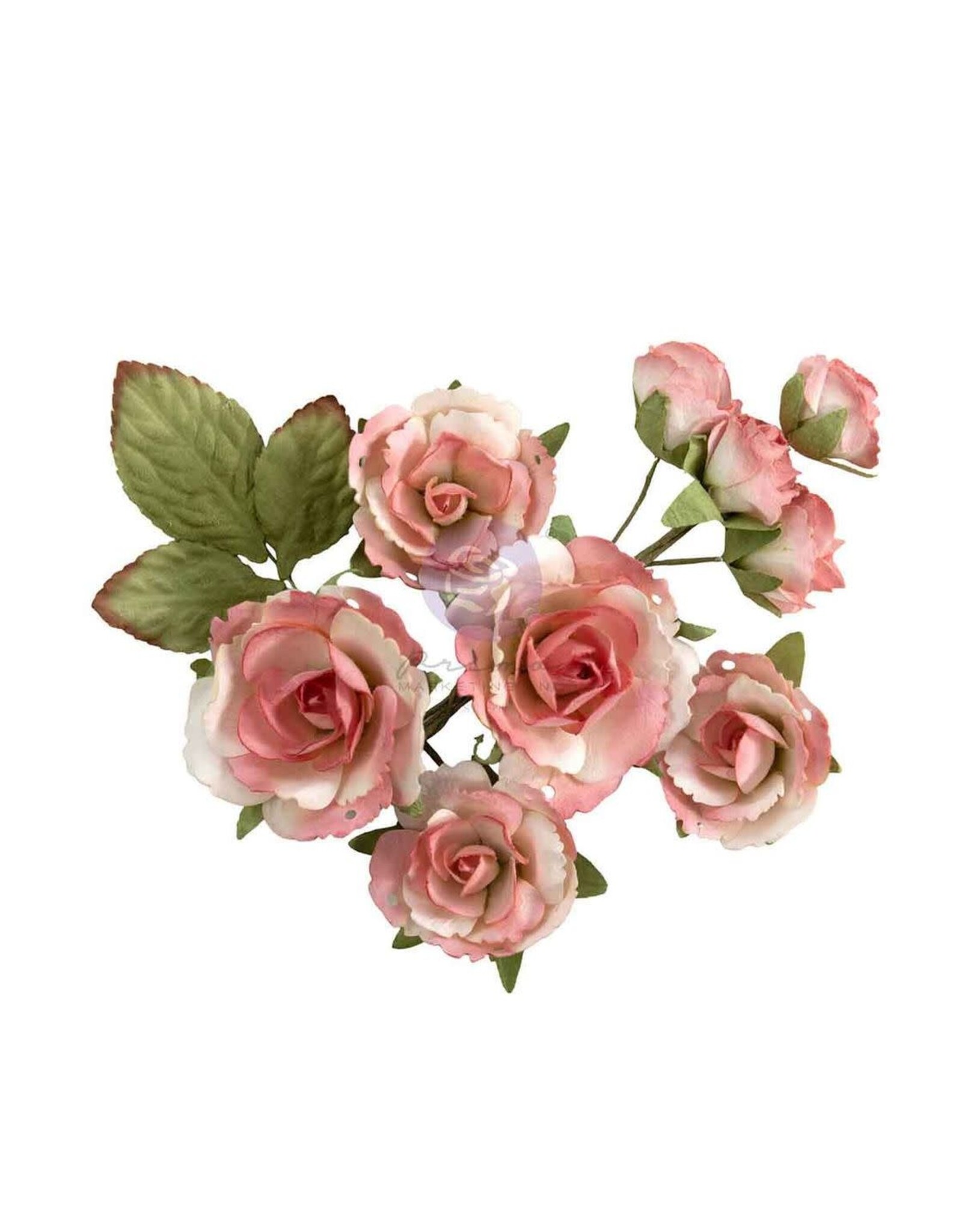 PRIMA PRIMA HOMEGROWN GARDEN ROSE BLUSH PAPER FLOWERS 10/PK