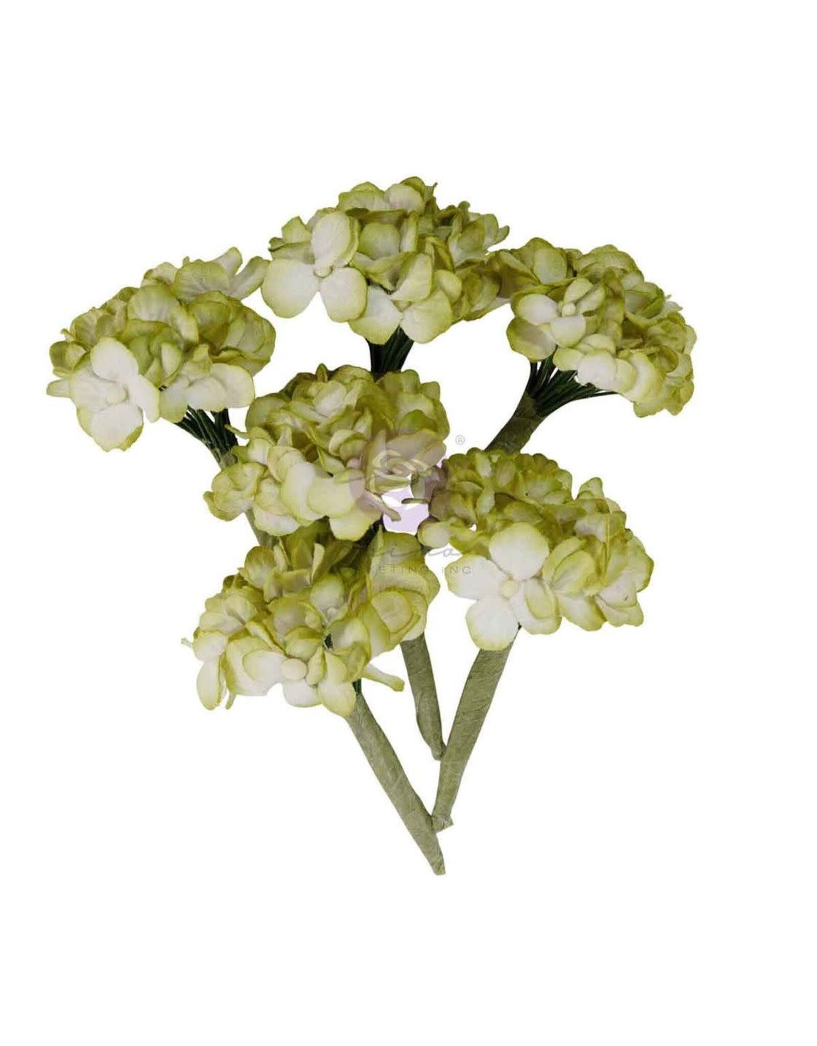 PRIMA PRIMA HOMEGROWN GARDEN HYDRANGEA MIST PAPER FLOWERS 6/PK