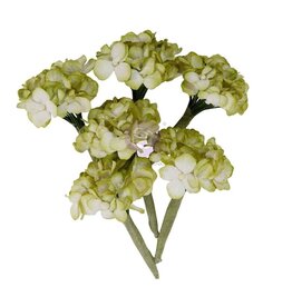 PRIMA PRIMA HOMEGROWN GARDEN HYDRANGEA MIST PAPER FLOWERS 6/PK