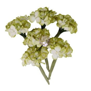 PRIMA PRIMA HOMEGROWN GARDEN HYDRANGEA MIST PAPER FLOWERS 6/PK