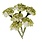 PRIMA PRIMA HOMEGROWN GARDEN HYDRANGEA MIST PAPER FLOWERS 6/PK