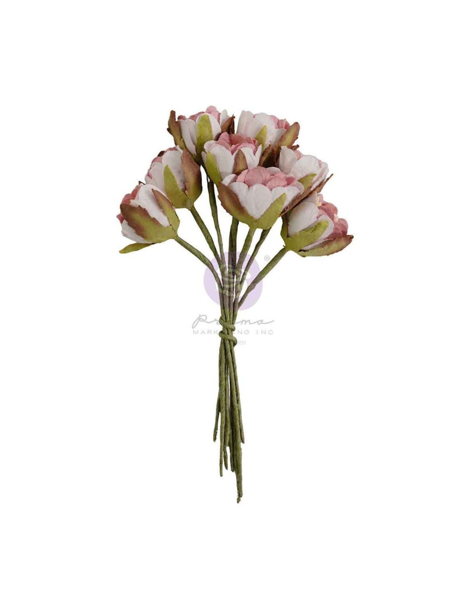 PRIMA PRIMA BUTTONS & KEEPSAKES TATTERED MILLINERY PAPER FLOWERS 8/PK