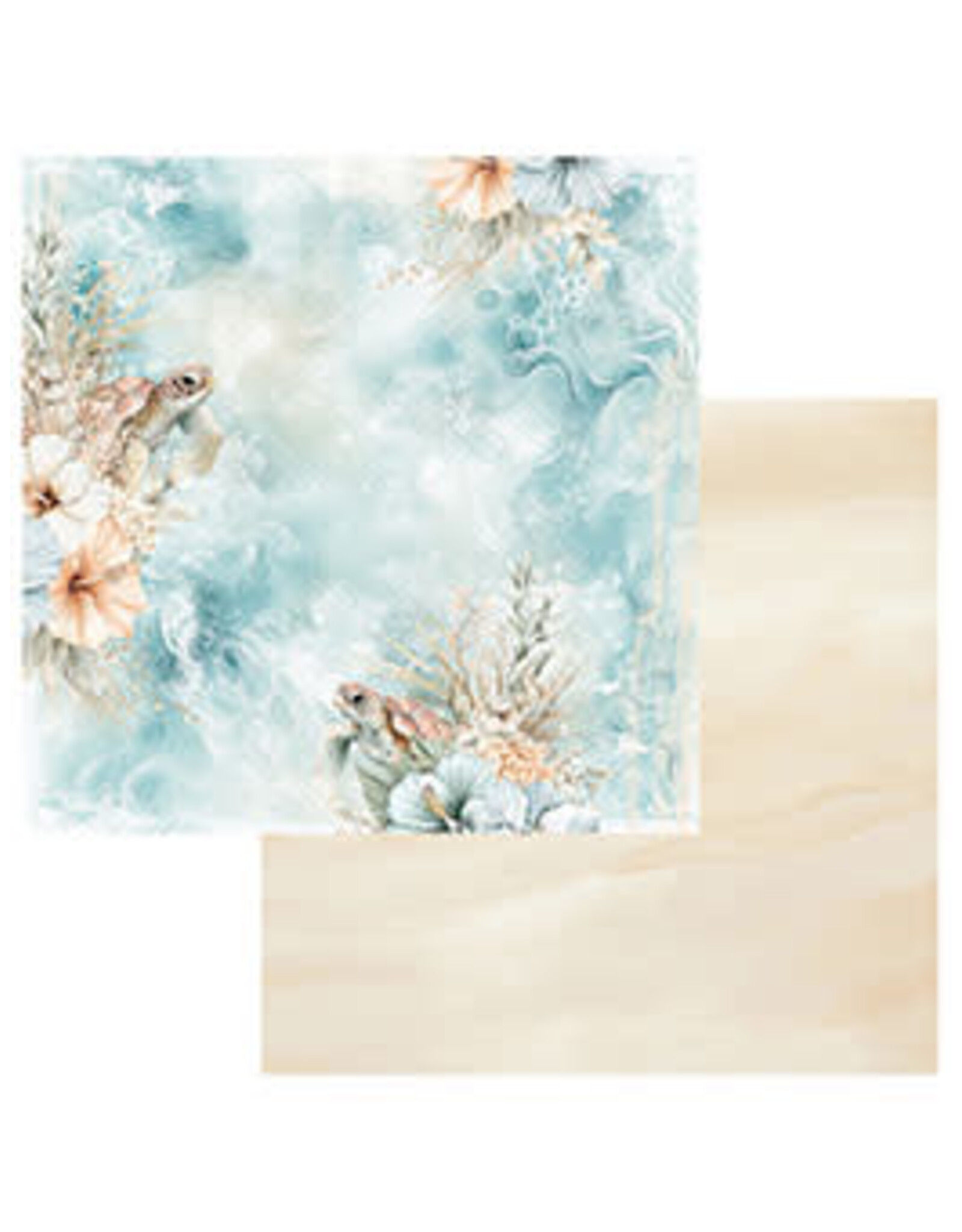 49 AND MARKET 49 AND MARKET COASTAL SOUL TURTLE COVE 12x12 CARDSTOCK
