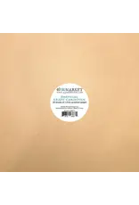 49 AND MARKET 49 AND MARKET KRAFT ESSENTIAL 12x12 CARDSTOCK 20/PK