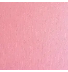 ENCORE PAPER ENCORE PAPER CANVAS TEXTURE ROSY CHEEKS CARDSTOCK 12x12