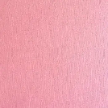 ENCORE PAPER ENCORE PAPER CANVAS TEXTURE ROSY CHEEKS CARDSTOCK 12x12
