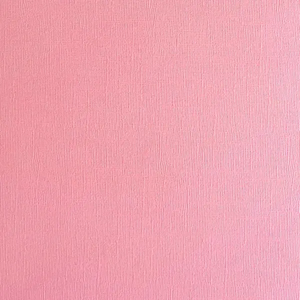 ENCORE PAPER ENCORE PAPER CANVAS TEXTURE ROSY CHEEKS CARDSTOCK 12x12