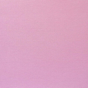 ENCORE PAPER ENCORE PAPER CANVAS TEXTURE SNAPPY PINK CARDSTOCK 12x12