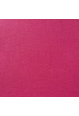 ENCORE PAPER ENCORE PAPER CANVAS TEXTURE HOT PINK CARDSTOCK 12x12