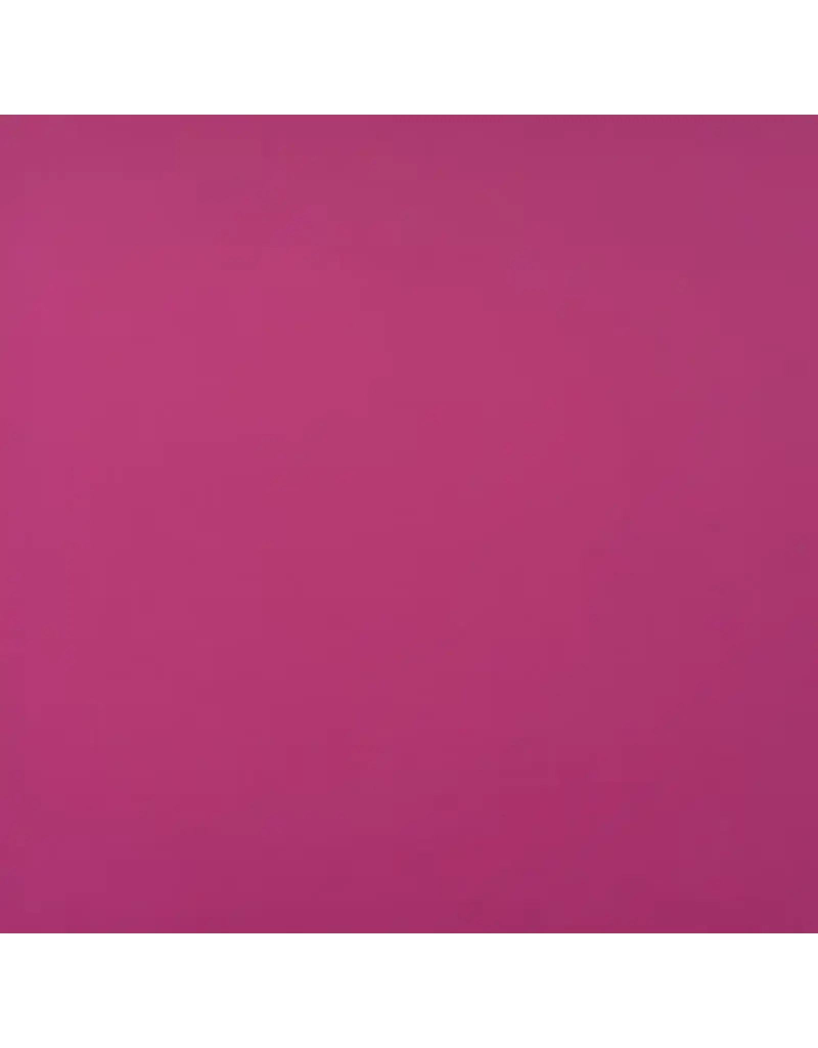 ENCORE PAPER ENCORE PAPER CANVAS TEXTURE PINK AZALEA CARDSTOCK 12x12