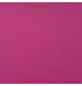 ENCORE PAPER ENCORE PAPER CANVAS TEXTURE PINK AZALEA CARDSTOCK 12x12
