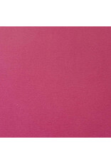 ENCORE PAPER ENCORE PAPER CANVAS TEXTURE MULBERRY CARDSTOCK 12x12