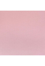 ENCORE PAPER ENCORE PAPER CANVAS TEXTURE PINK CHAMPAGNE CARDSTOCK 12x12