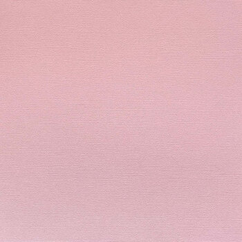 ENCORE PAPER ENCORE PAPER CANVAS TEXTURE PINK CHAMPAGNE CARDSTOCK 12x12