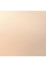ENCORE PAPER ENCORE PAPER CANVAS TEXTURE MELON MIST CARDSTOCK 12x12