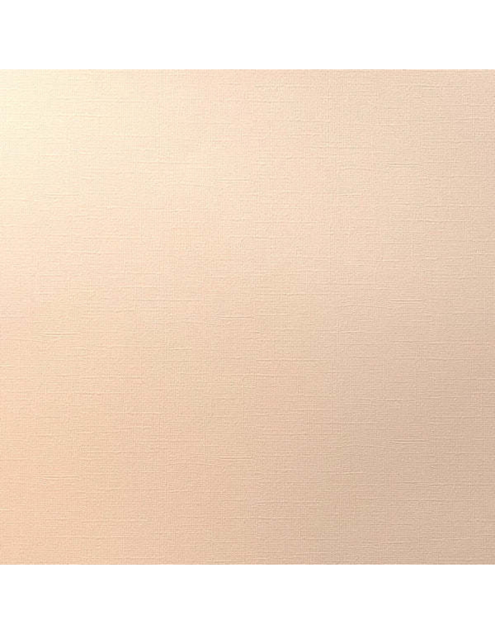 ENCORE PAPER ENCORE PAPER CANVAS TEXTURE MELON MIST CARDSTOCK 12x12