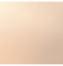 ENCORE PAPER ENCORE PAPER CANVAS TEXTURE MELON MIST CARDSTOCK 12x12