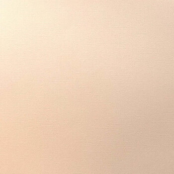 ENCORE PAPER ENCORE PAPER CANVAS TEXTURE MELON MIST CARDSTOCK 12x12