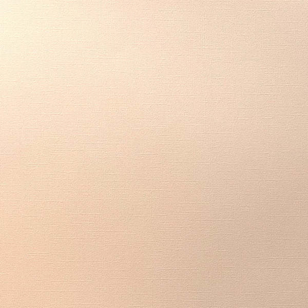 ENCORE PAPER ENCORE PAPER CANVAS TEXTURE MELON MIST CARDSTOCK 12x12