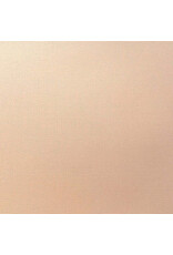 ENCORE PAPER ENCORE PAPER CANVAS TEXTURE PEACH WHISPER CARDSTOCK 12x12