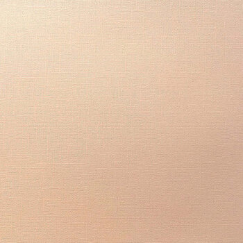 ENCORE PAPER ENCORE PAPER CANVAS TEXTURE PEACH WHISPER CARDSTOCK 12x12