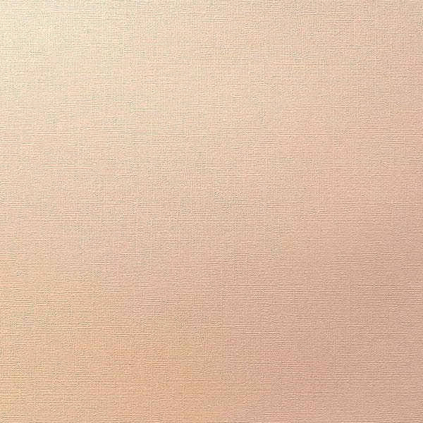 ENCORE PAPER ENCORE PAPER CANVAS TEXTURE PEACH WHISPER CARDSTOCK 12x12