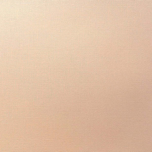 ENCORE PAPER ENCORE PAPER CANVAS TEXTURE PEACH WHISPER CARDSTOCK 12x12