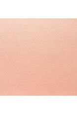 ENCORE PAPER ENCORE PAPER CANVAS TEXTURE PEACH SHERBET CARDSTOCK 12x12