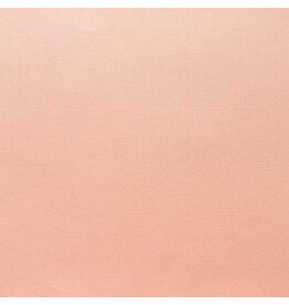 ENCORE PAPER ENCORE PAPER CANVAS TEXTURE PEACH SHERBET CARDSTOCK 12x12