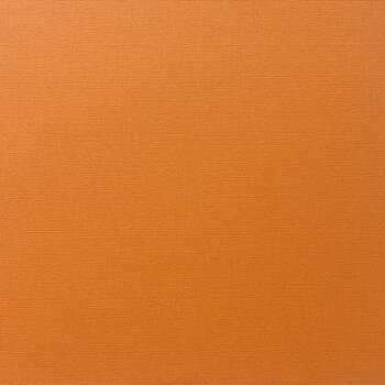 ENCORE PAPER ENCORE PAPER CANVAS TEXTURE ORANGE TAFFY CARDSTOCK 12x12