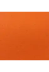 ENCORE PAPER ENCORE PAPER CANVAS TEXTURE GOLDFISH CARDSTOCK 12x12