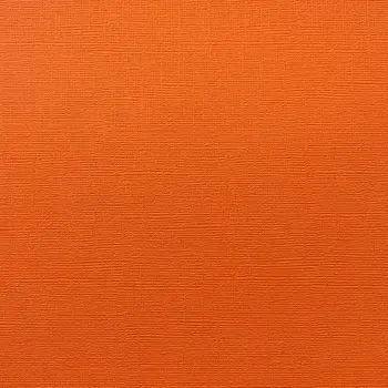 ENCORE PAPER ENCORE PAPER CANVAS TEXTURE GOLDFISH CARDSTOCK 12x12