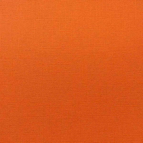 ENCORE PAPER ENCORE PAPER CANVAS TEXTURE GOLDFISH CARDSTOCK 12x12